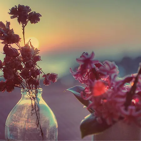 بيت للعطل With Sea View 01