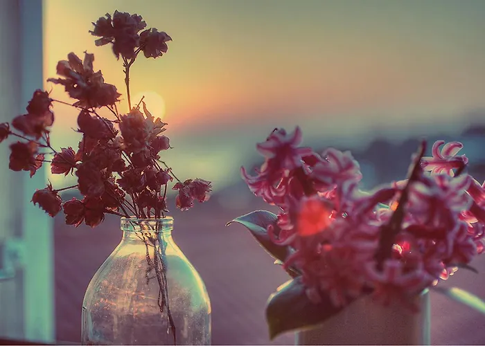 Сasa de vacaciones With Sea View 01